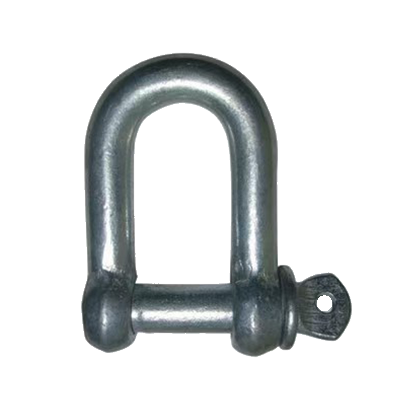 G210 američki tip D-oblika kovani okov (316)